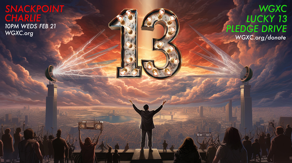 Transmission 133